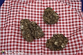 VBS_6567 - Fiera dei Santi - 12.ma Fiera Nazionale del Tartufo